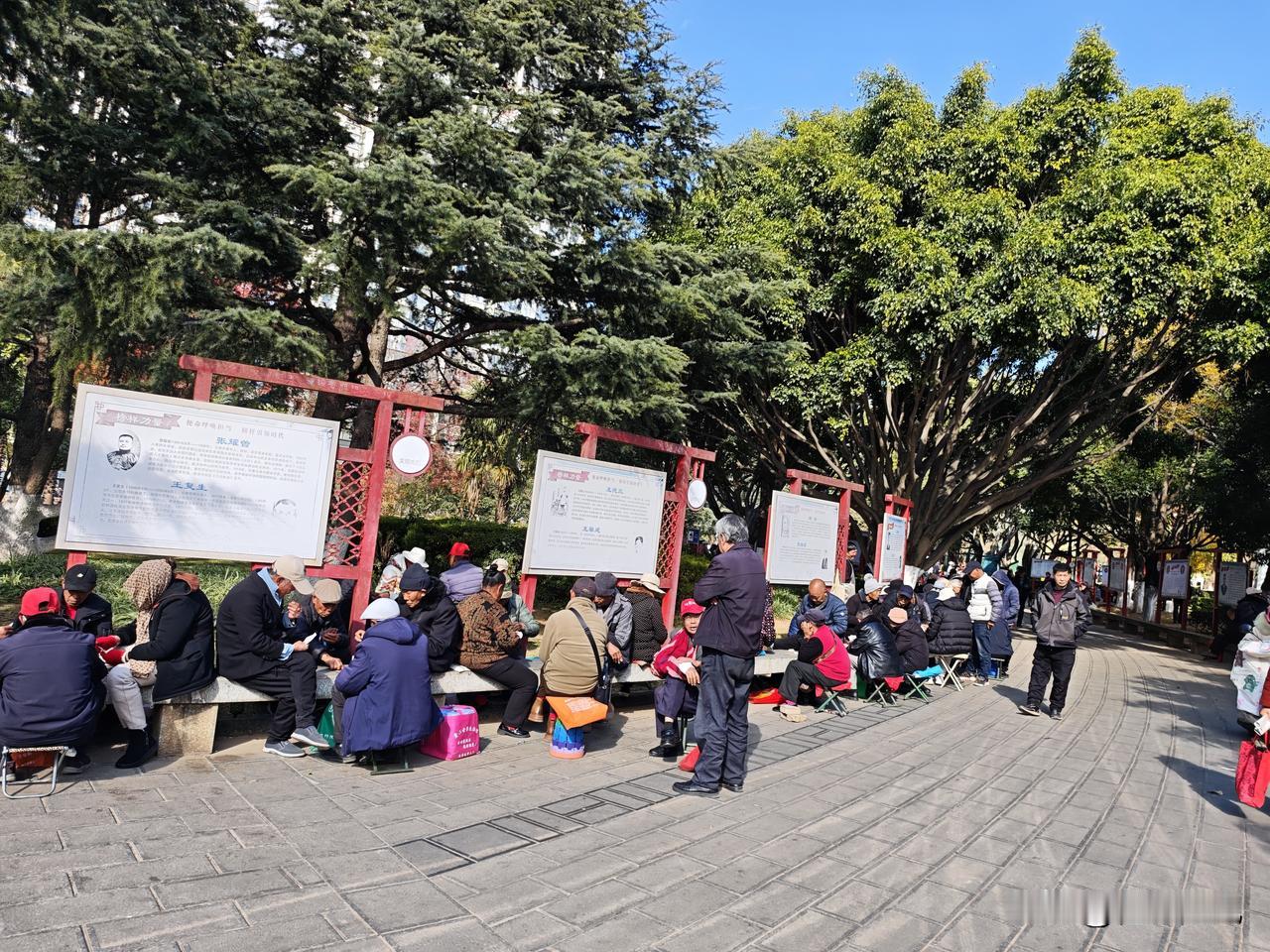 想去人民公园唱歌跳舞晒太阳，要早点去，去晚了没位置！