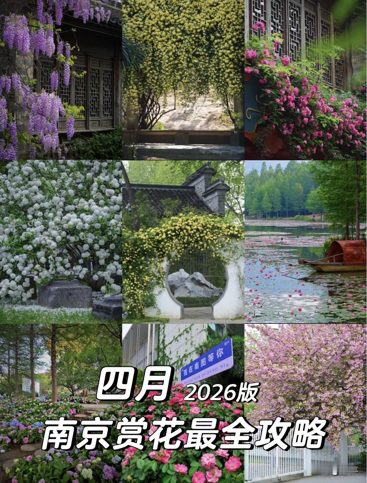 从今年开始，每月我都会固定更新这个栏目
帮大家玩转南京，发现这座城市的美

四月