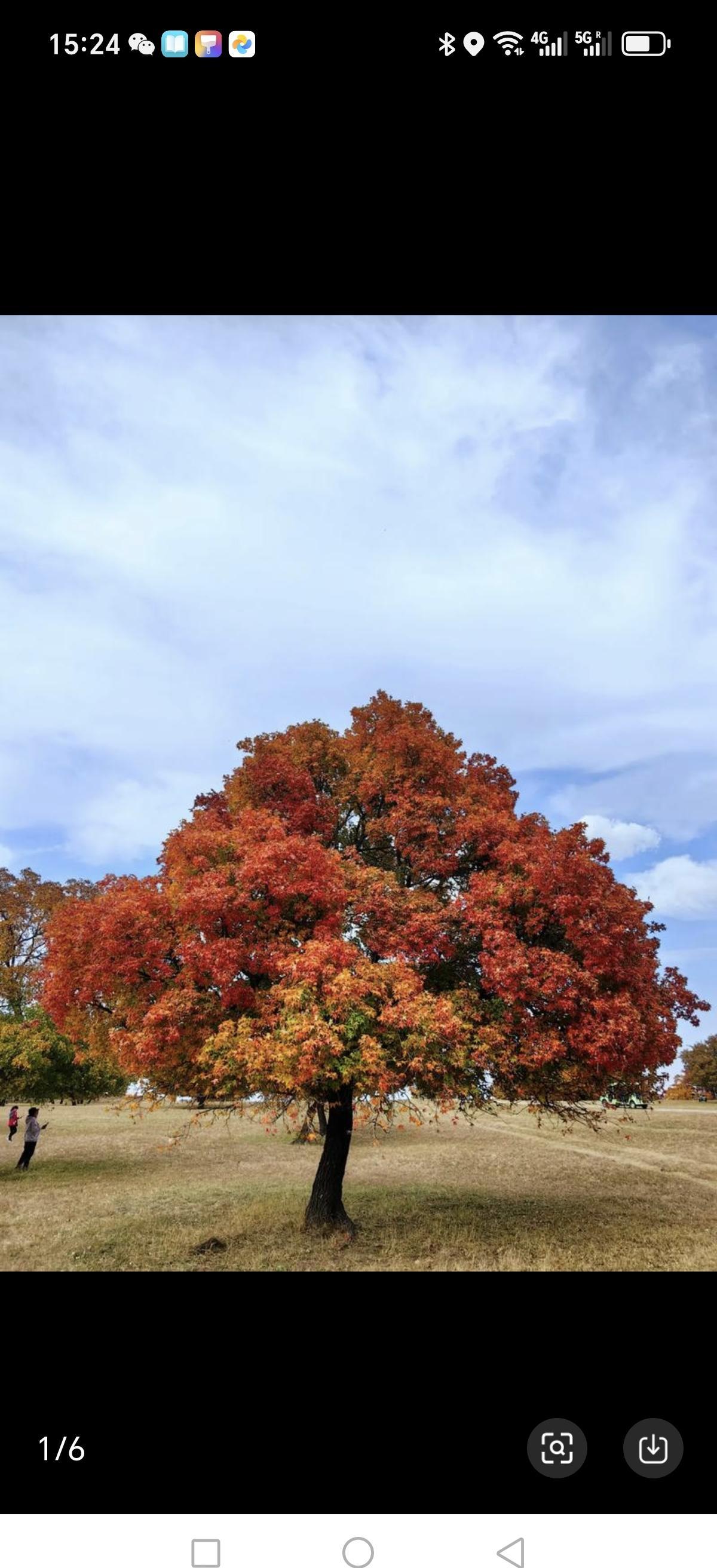 热水器坏了，等市政审批等了25小时，最后三十分钟修完收了450加元。
这钱不是
