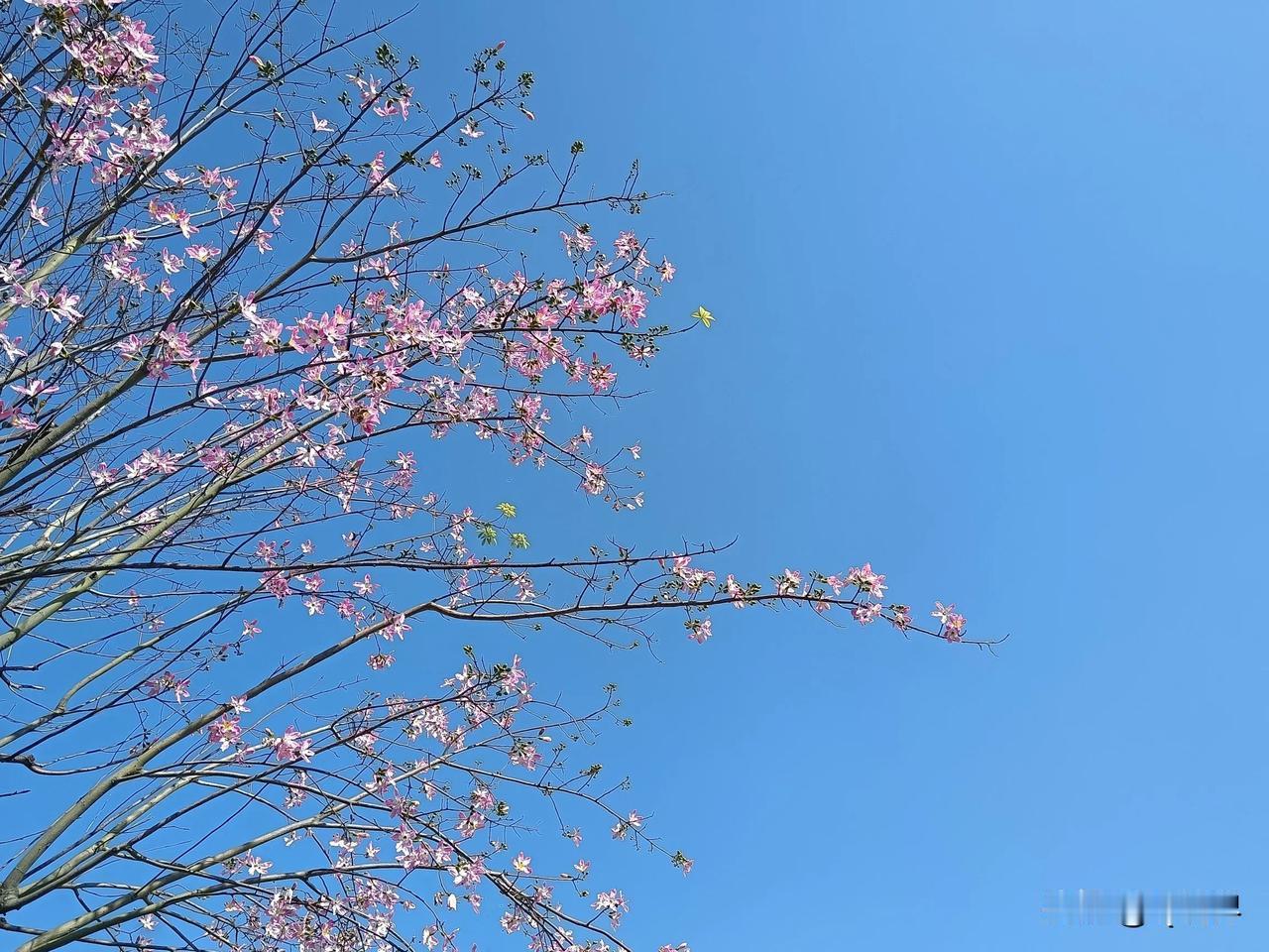 赞美也好，指责也罢，任它沉浮，
我只管静静地走好我的小路。
我要关爱别人，我要无