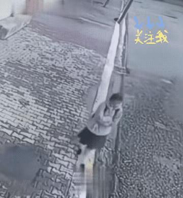 惊魂时刻！一个小姑娘背着书包回家，路上遇到四条狗猛追不舍，四条狗都没有拴绳，狗主