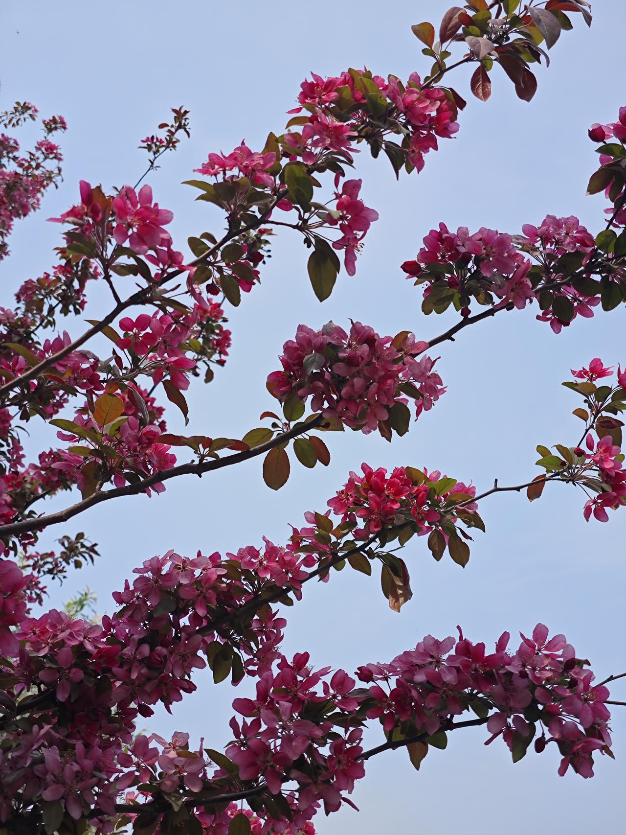写给我自己

  心烦意乱的时候闭嘴不说话，
  也不做任何决定，
  对家人或
