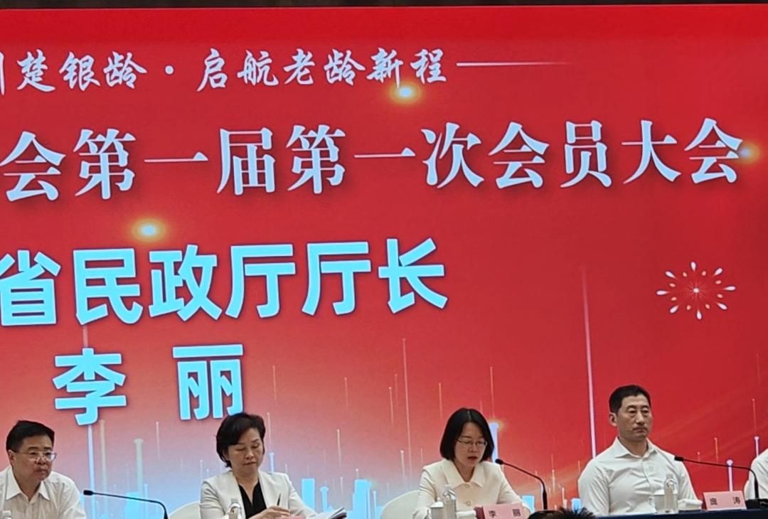 湖北省老龄协会成立！
 
今天上午（9月13日），武当中医药王烨受邀赴武汉，出席