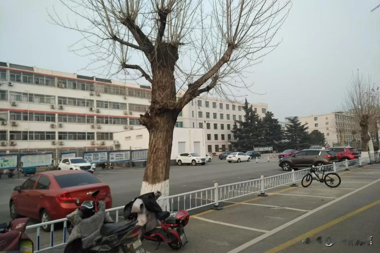 泰安第十九中学的老瓦房还是拆了 ,就在昨天路过十九中的时候 ,突然发现那一排大门