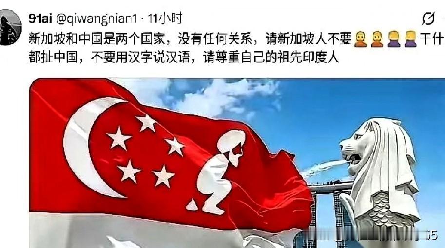 这两天网上那句“请新加坡尊重祖先印度人，别啥事都往东方大国身上扯”，真是看得人后