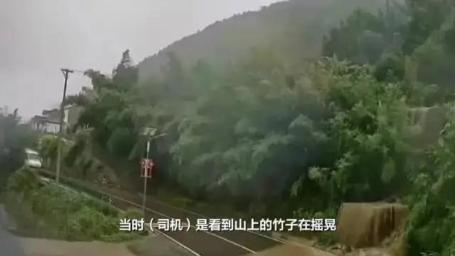 真正救命的是细心和敬畏！湖北长阳，雨后山路，一位小巴司机发现路边竹子不正常的晃动