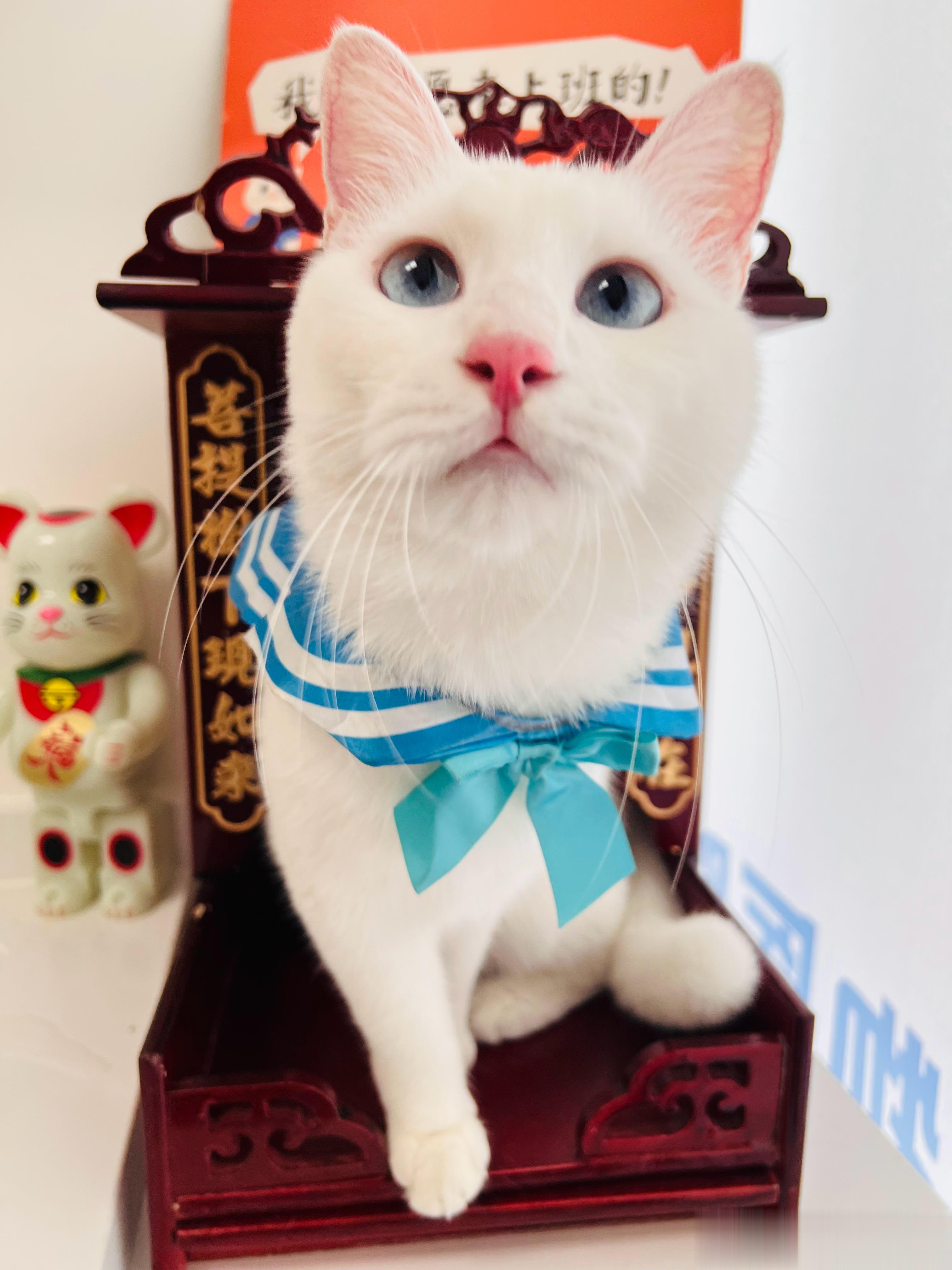 #鱿仔# 隔空喊话​​​