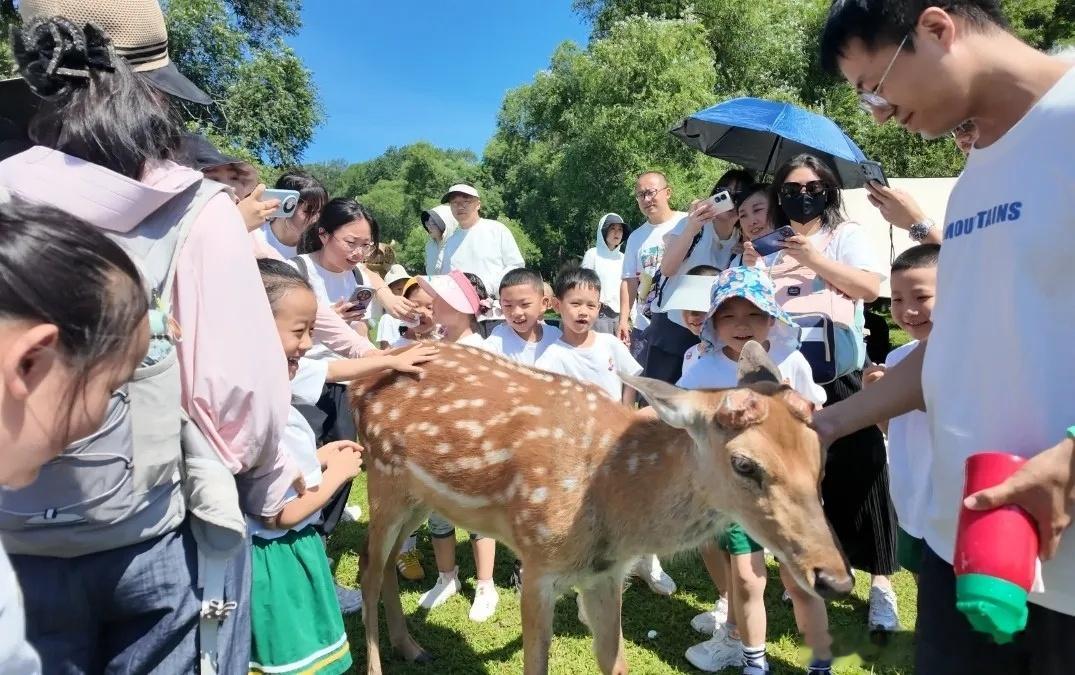 地理冷知识寻美黑龙江 近日，小火龙幼儿园毕业班户外毕业典礼落地龙江森工 平山皇家