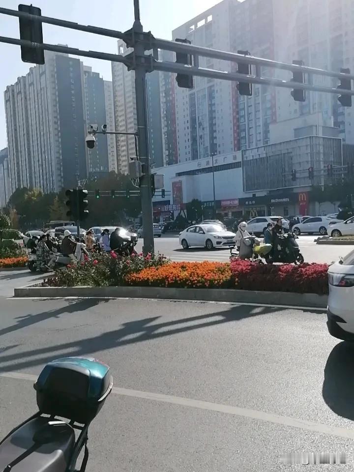 城市中的月季花，虽然已经过了霜降季节，但鲜花依然开放！