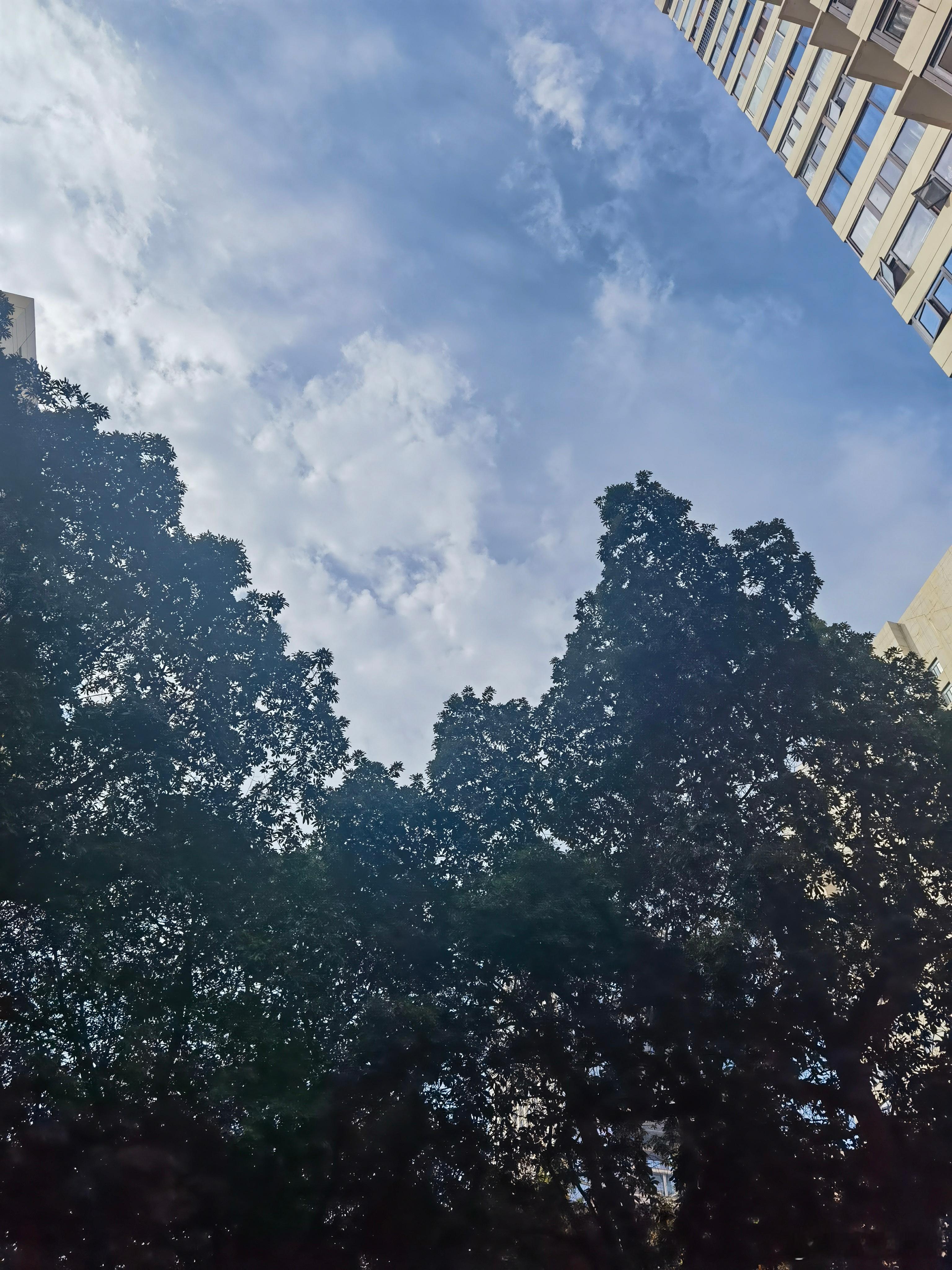 桂花落天宇洗碧，风露凝白，院中桂树忽绽金粟。夜凉如浸时，暗香破窗牖，袭人衣袂，恍