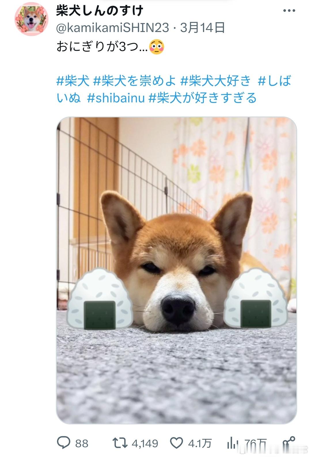 三个饭团🍙[doge]海外编译精选 ​​​