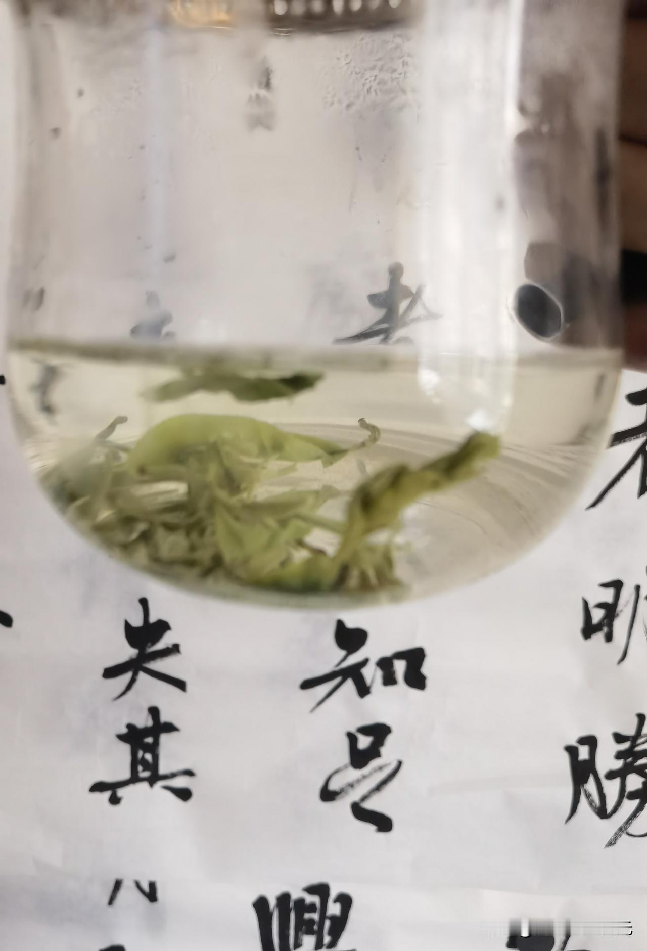 练字每周打卡
