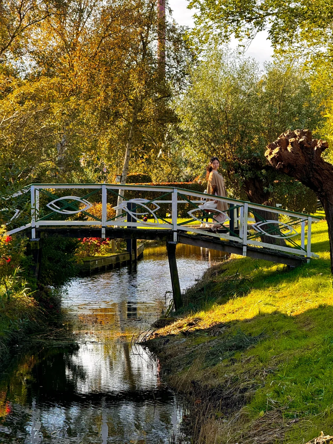 🇳🇱荷兰蜜月live分享