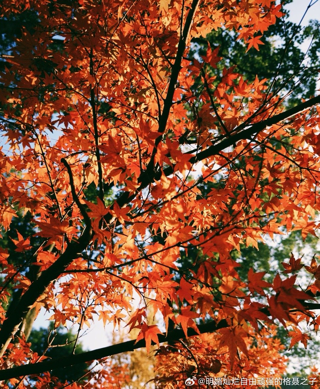 相信你有足够的能量，去成为自己的太阳 