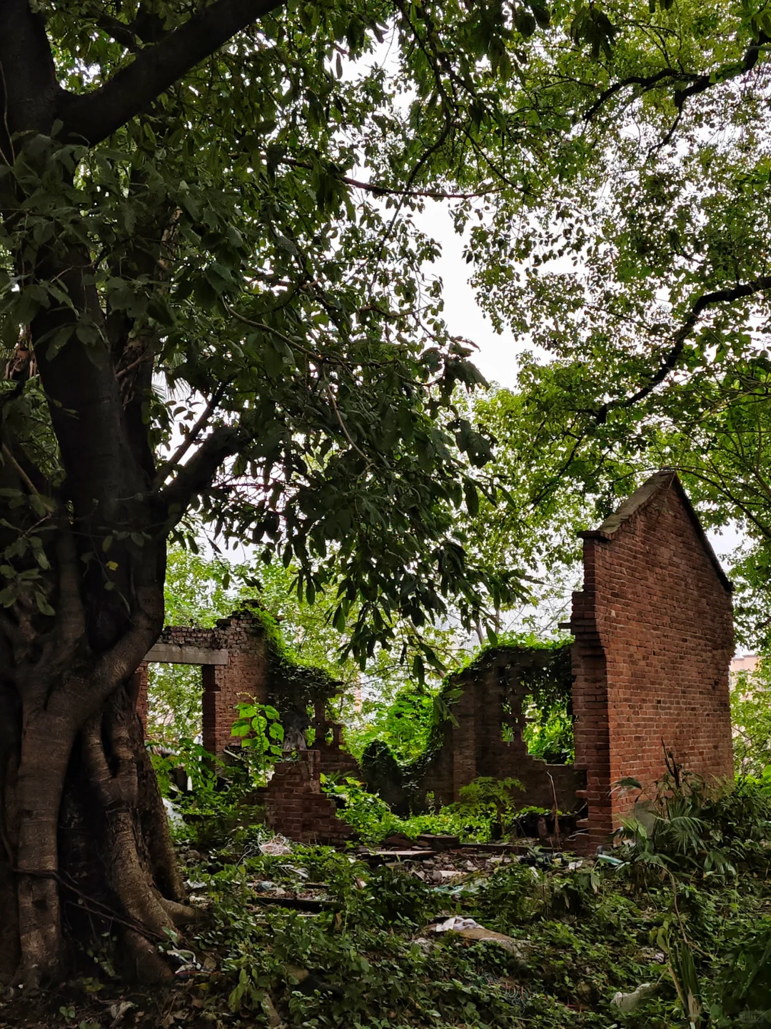 江北又一个人类消失后的世界(citywalk319)