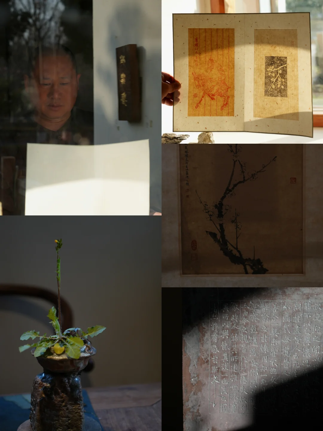 松云斋 | 春景渐芳，暄和未尽