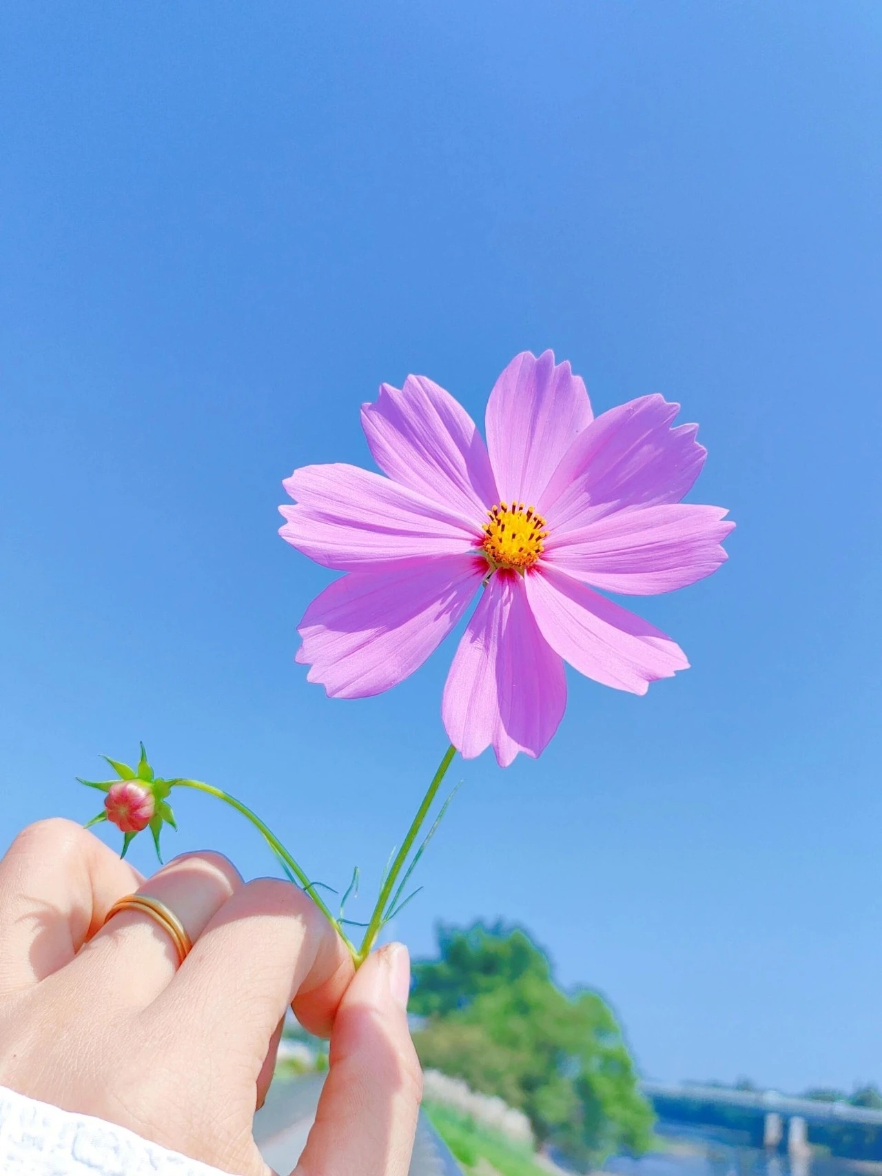 幸福不是什么都拥有，而是想要的恰好在身边。 