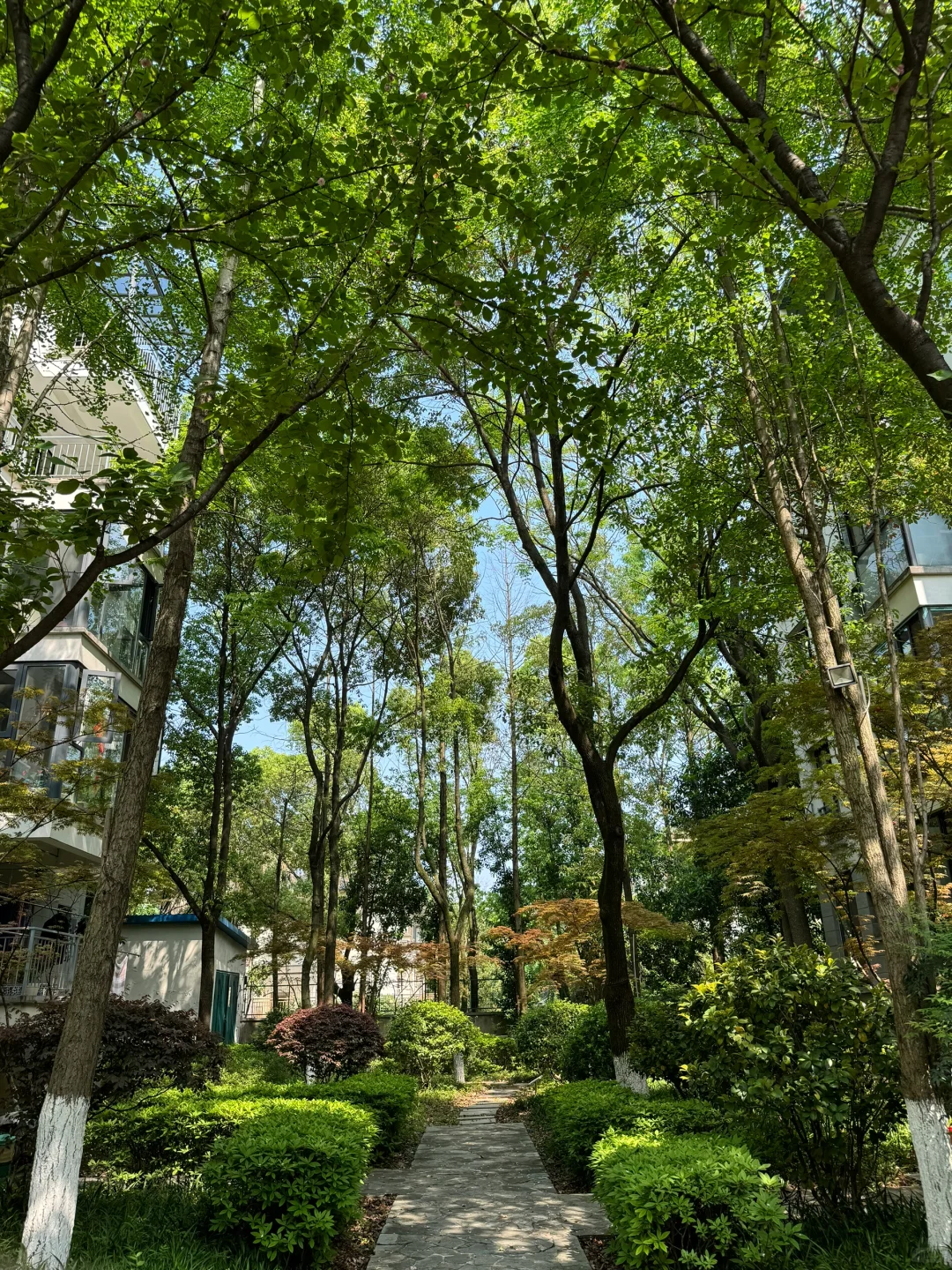 我家的风景在长沙是什么水平