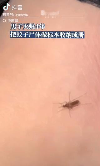 真是大开眼界！广东一男子被蚊子叮脸，不拍死反而屏住呼吸小心翼翼收进盒子！翻开他珍