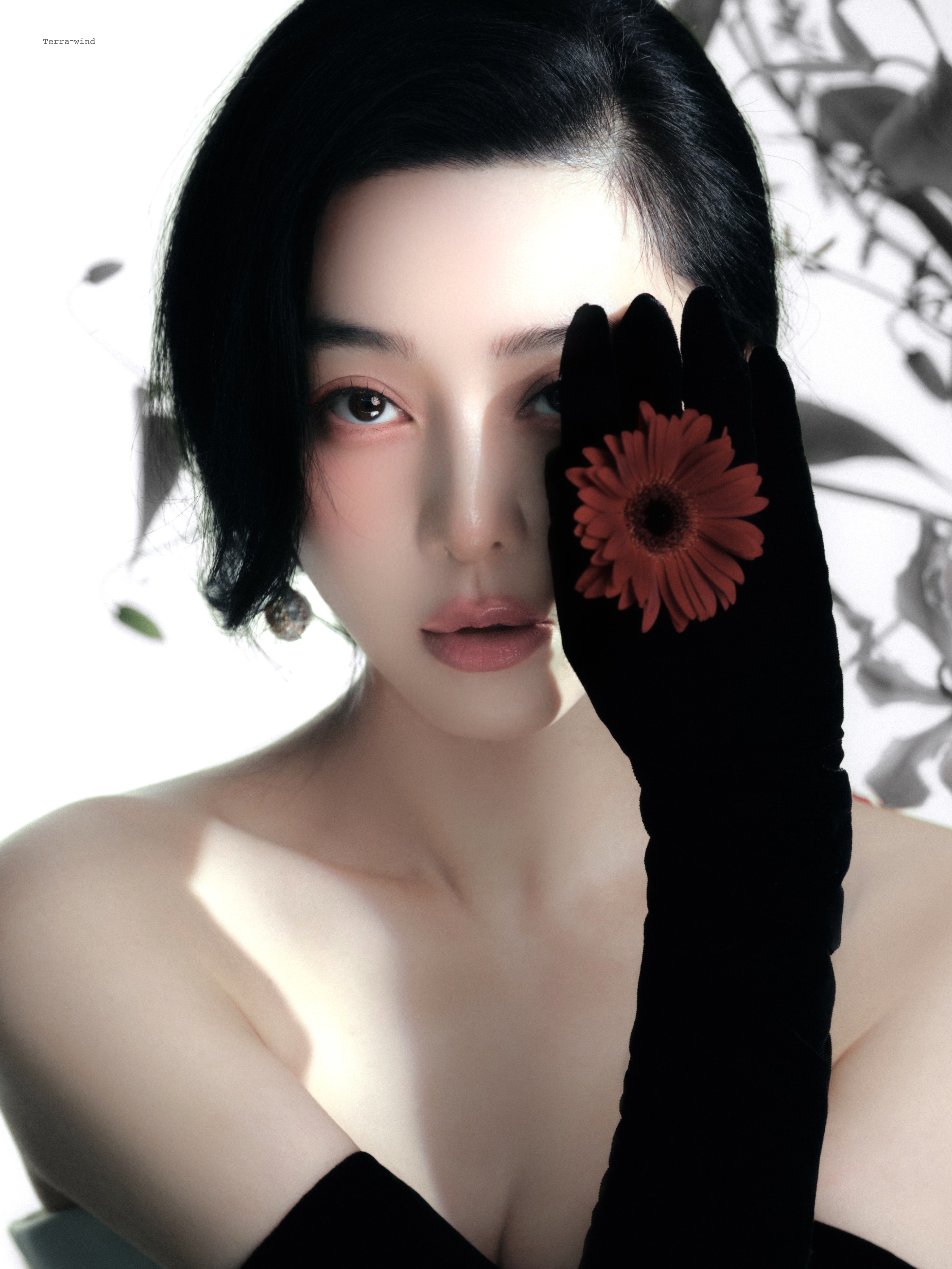 红花 