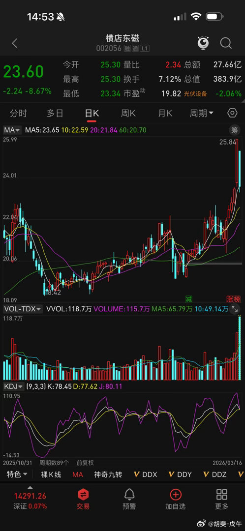 横店东磁，这天量 