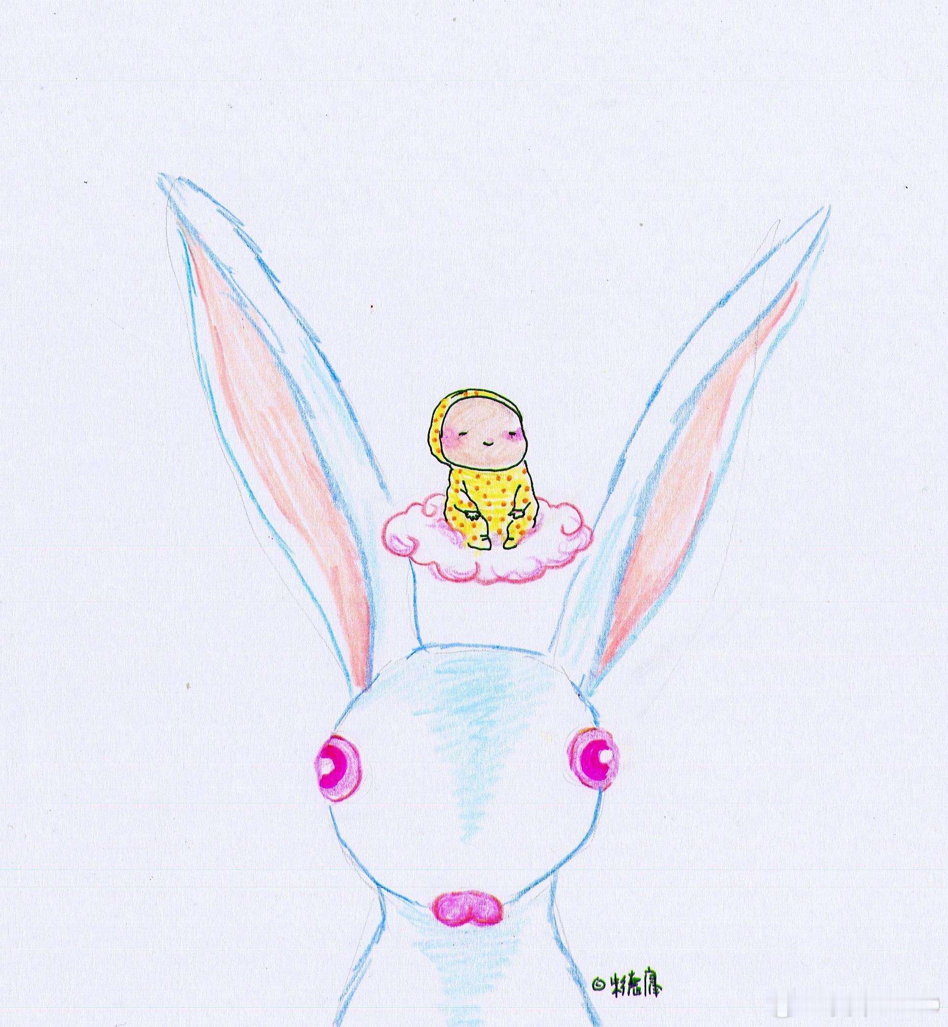 晚上好~ ​​​