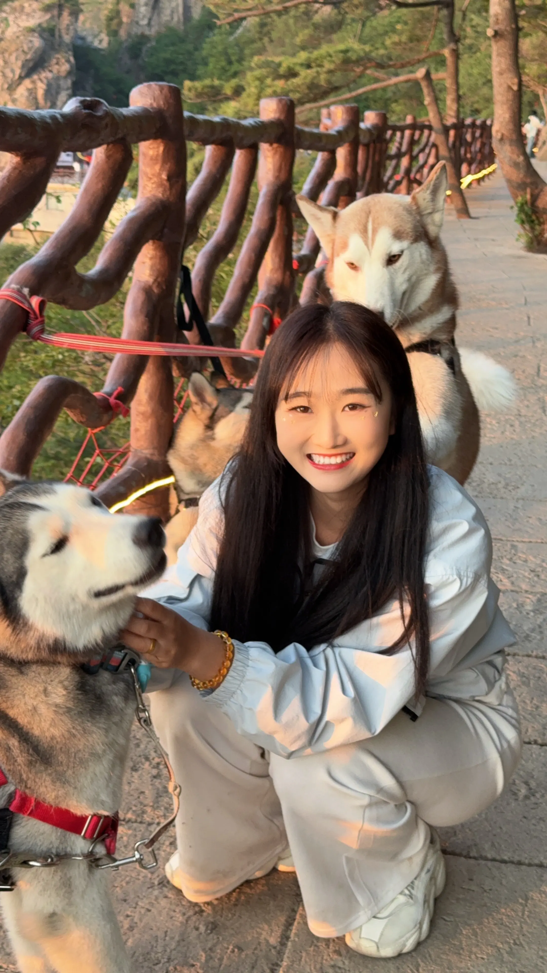 妮可的狗子