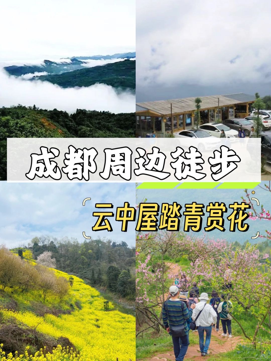 3月去踏青📍大邑云中屋打野赏花徒步1日游