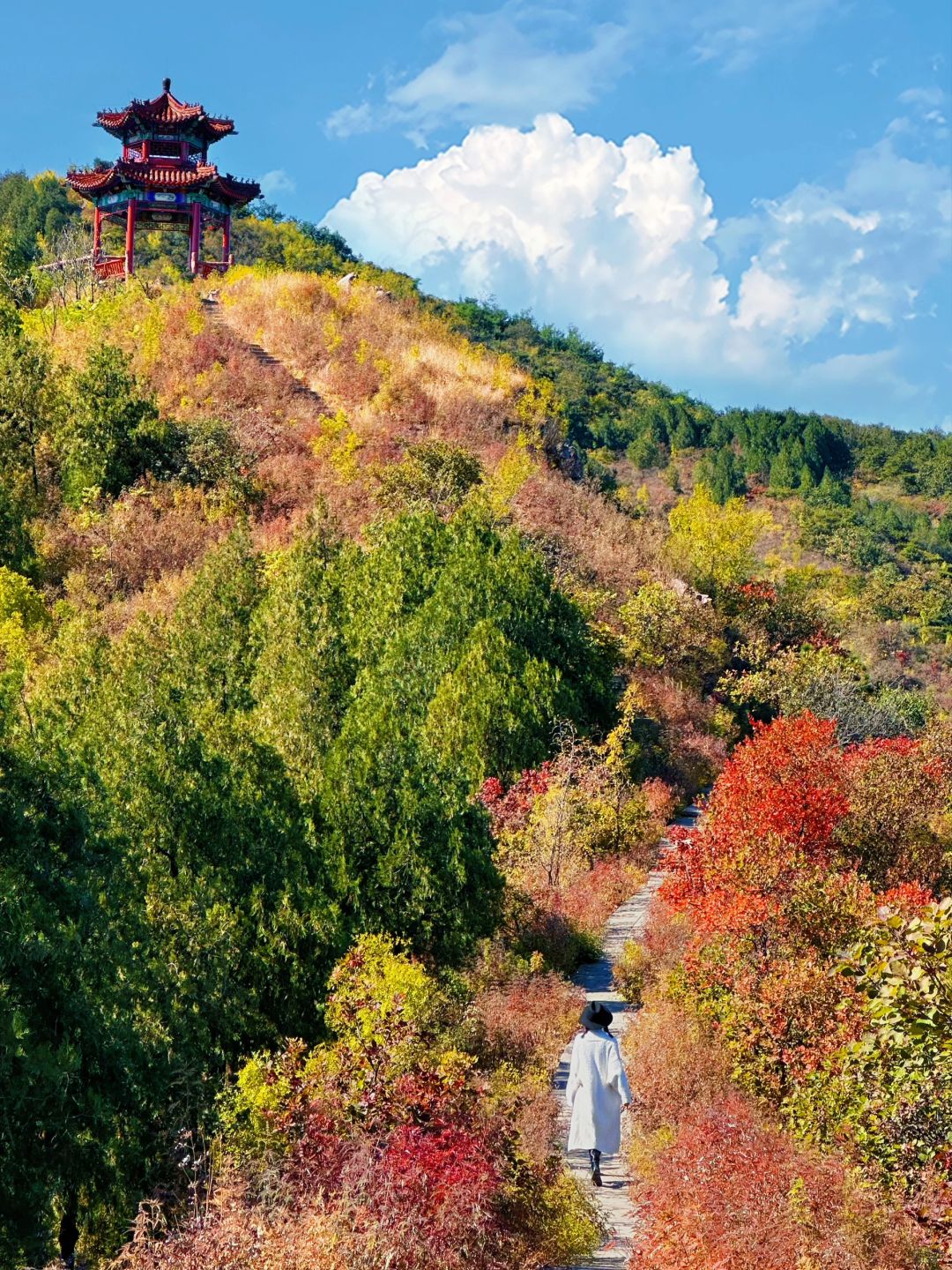 10.20免费赏秋🍁看“海”登山步道，15min登顶