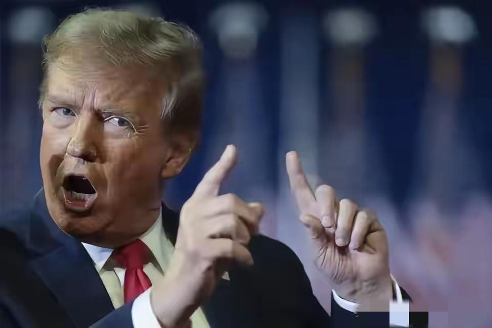 特朗普北京时间3月28日在演讲中表示：“如果发生大地震，我敢保证北约不会在那里。