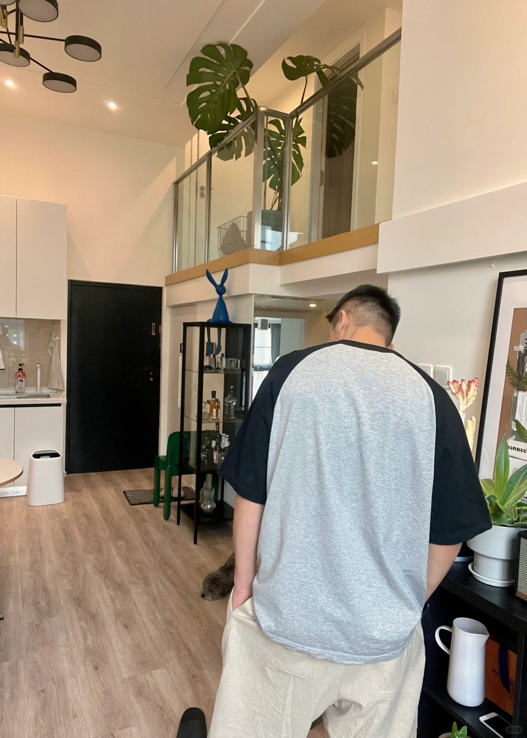 45㎡ Loft两室两卫，宅不腻的小家🏠