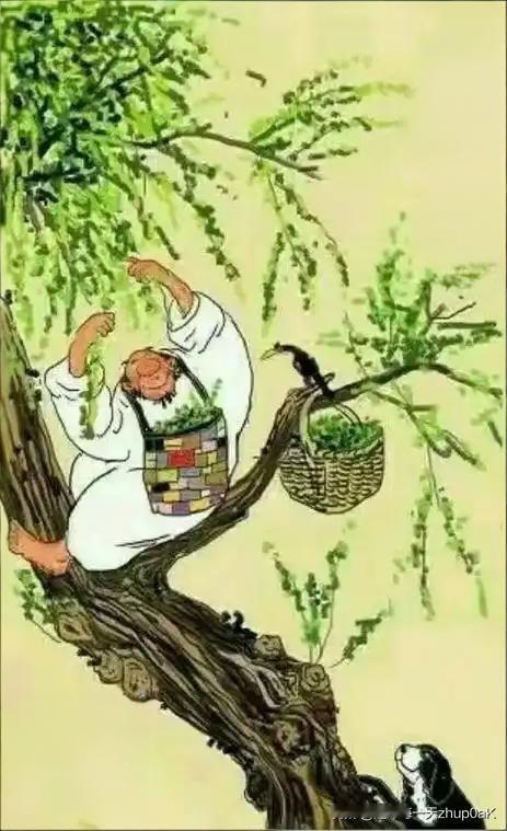 《榆钱》
——宋.彭汝砺
林外溪头榆荚钱，
风吹个个一般圆。
浑疑萍叶轻分去，