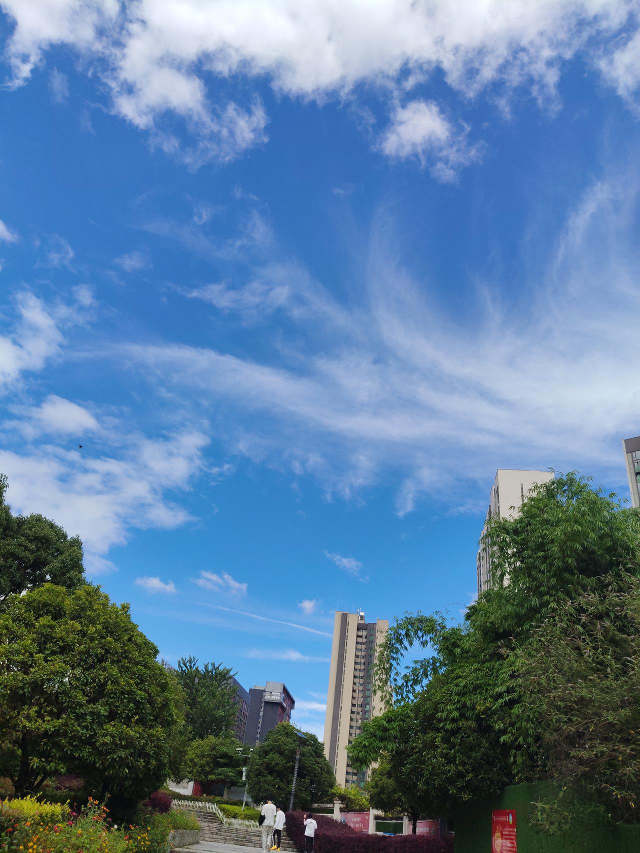 周末突发“制度性红包”！7月6日起A股三大新规落地，散户该咋办？
1，主板ST股