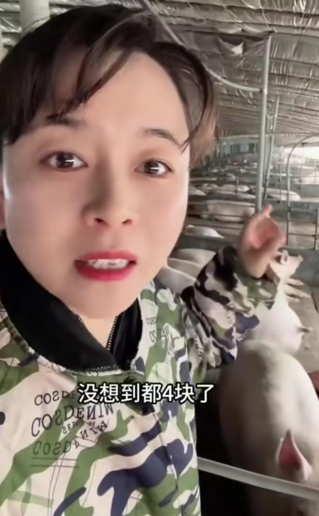 当一位养猪女博主，还在说生猪收购价格已经到了每斤四元的时候，有些地方已经跌破了这