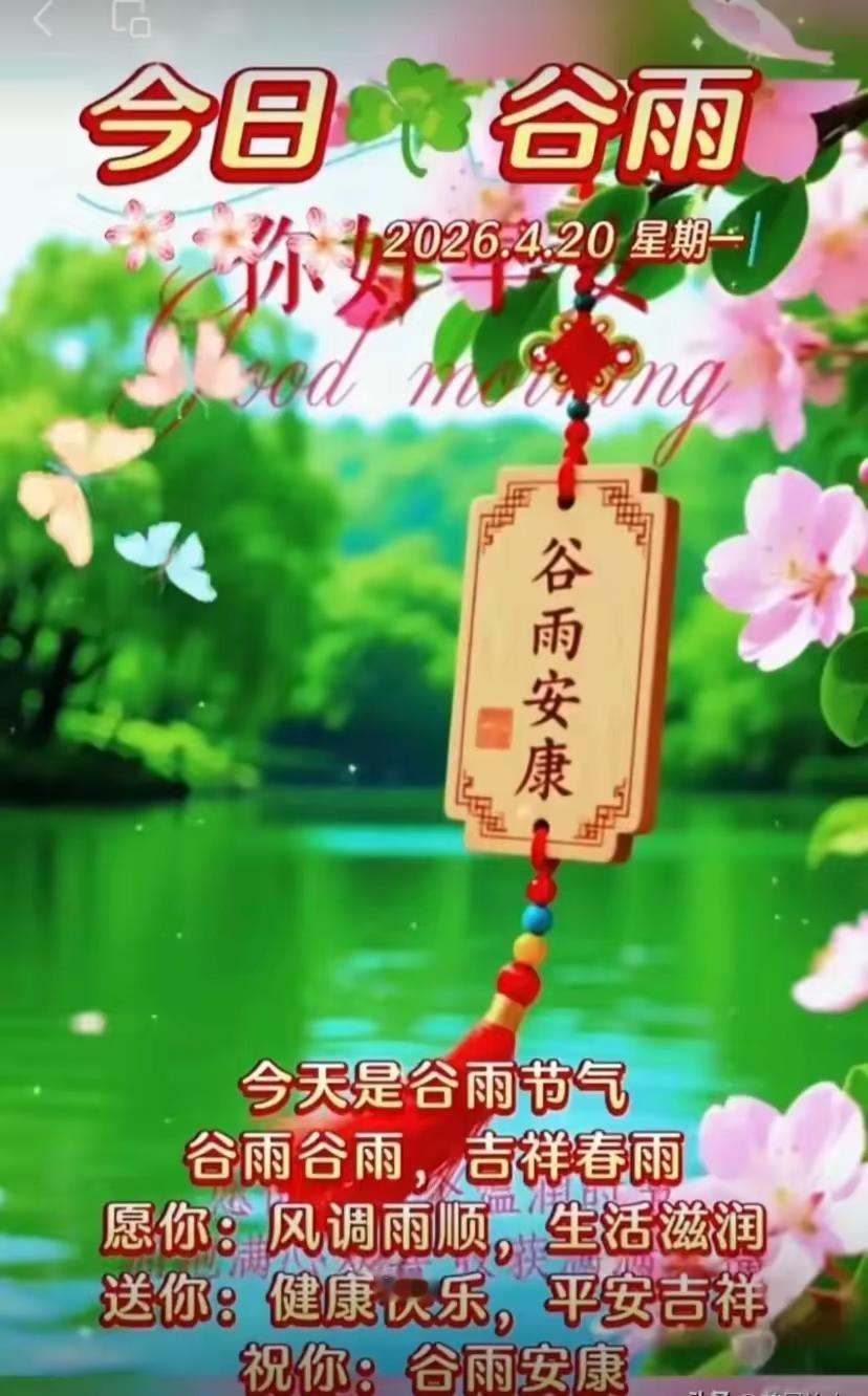 周一晨光暖，谷雨润心田。新一周携着春日温柔启程，步履从容，奔赴热爱。真心感谢我的