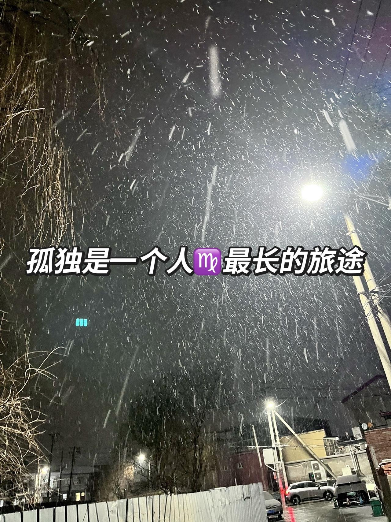 孤独是一个人♍️最长的旅途处女座 最长的旅途