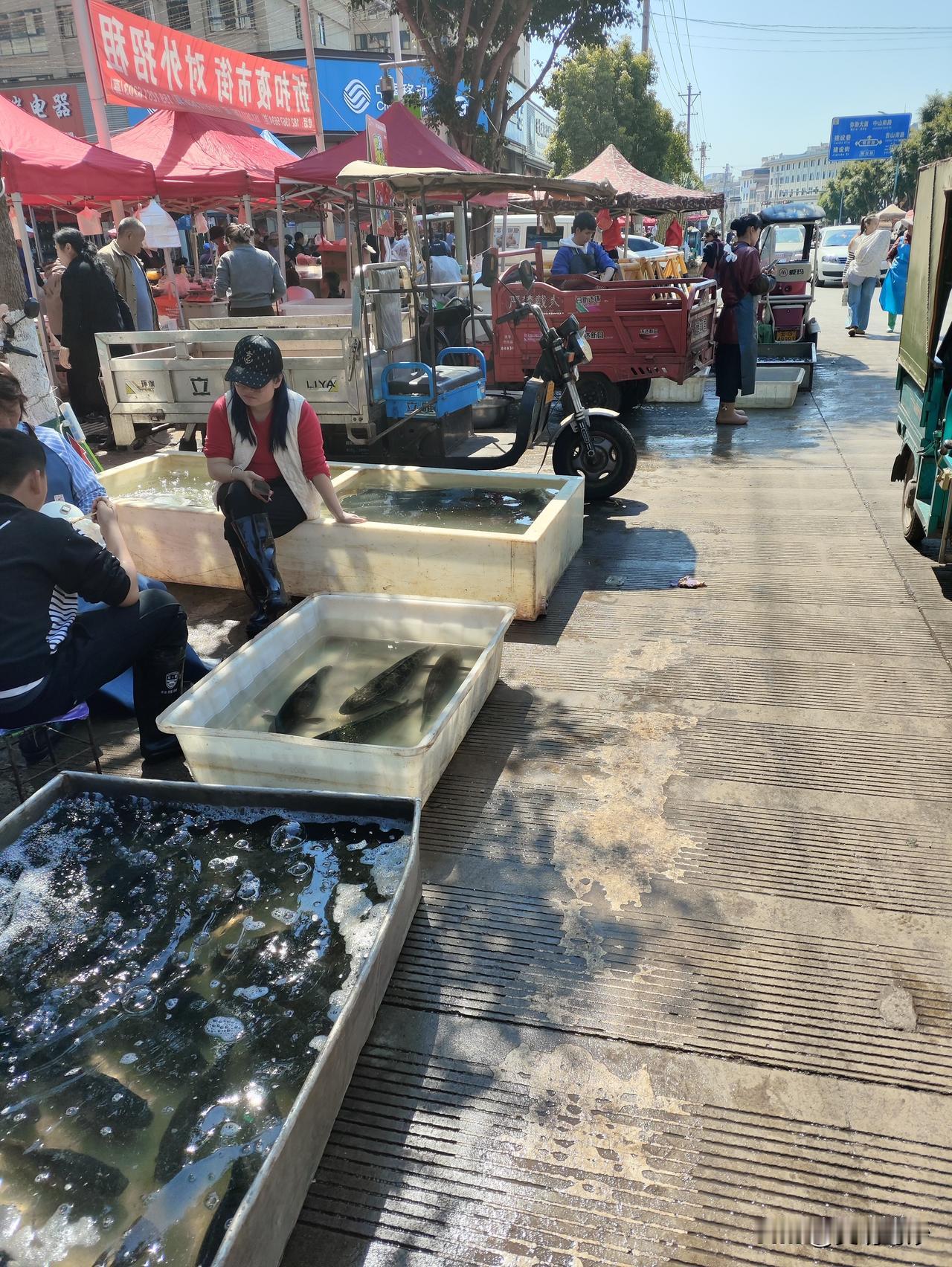 2026年2月14日云南弥勒旅居，记录春节前夕的弥勒。
今天情人节，弥勒作为小县