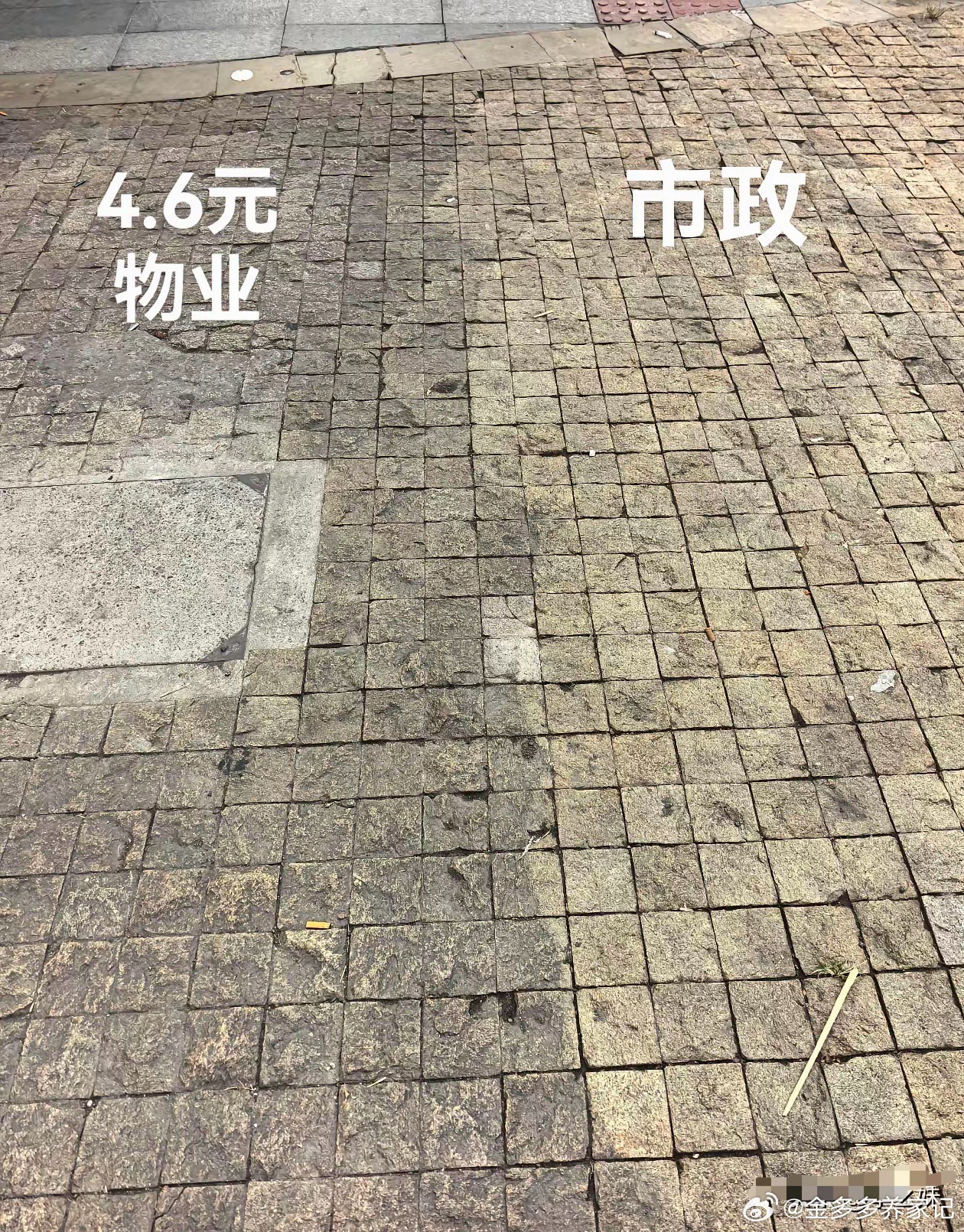 谁好谁坏，一眼就看出来了 