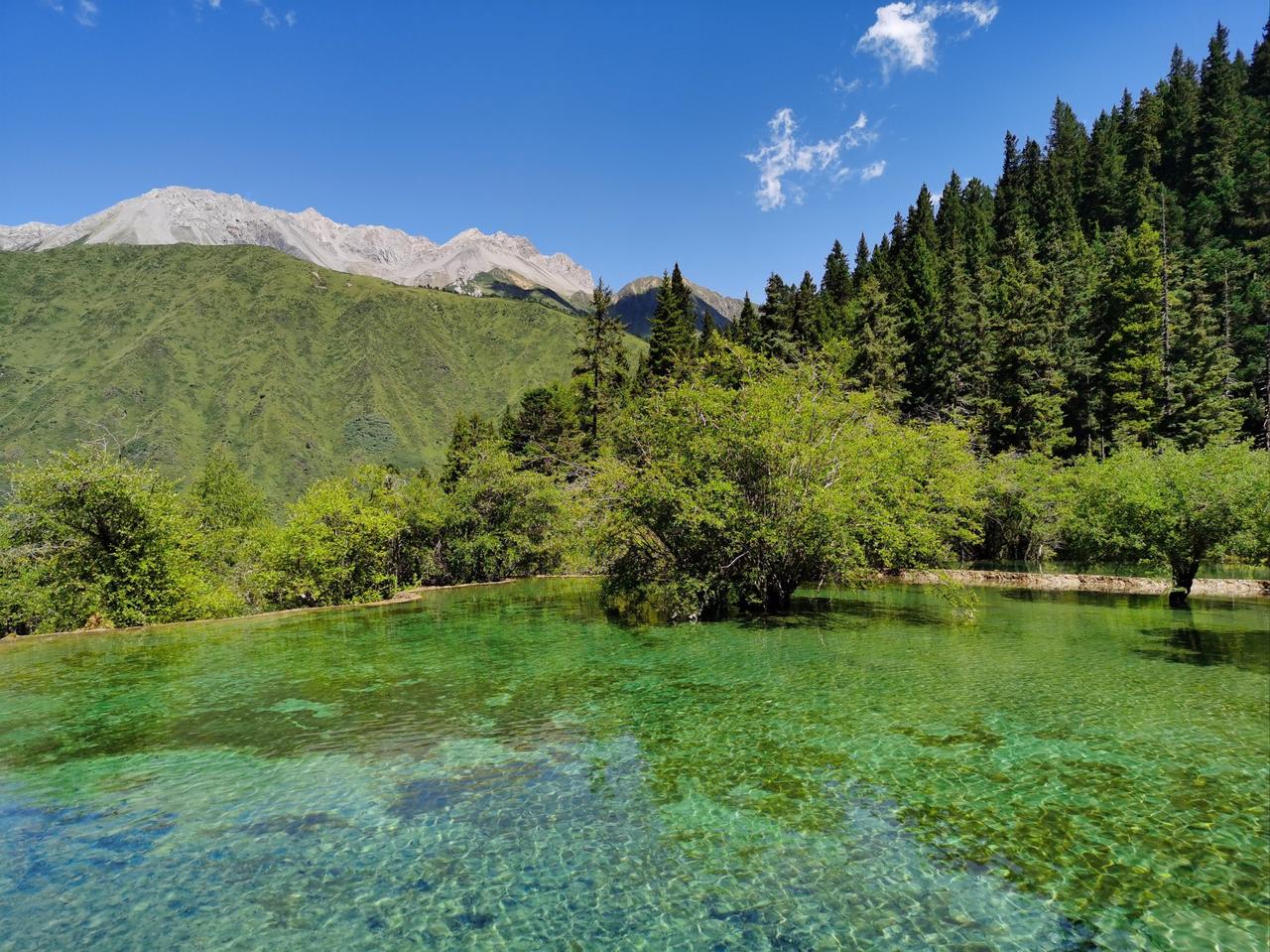 人到了晚年，
最大的清醒，
是别把搭伴过日子，
当成纯粹的情分，
忘了现实的底色