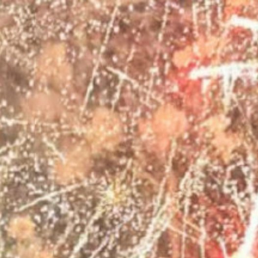 每日一善🌲每日一善 🌲阳光信用 不管做什么，都不要急于回报！因为播种和收获不