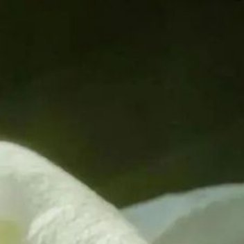 有些幸福我们毕生追求不到，但有些幸福则垂手可得。例如享用一顿宁静的早餐，在大自然