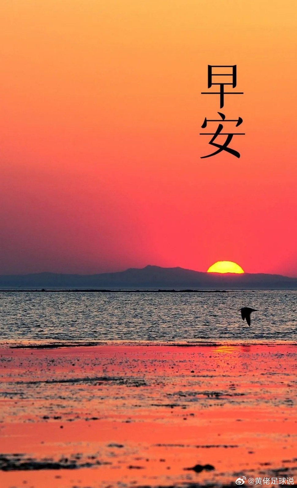 生活手记那些在微光中奔跑的身影，从来不会被掩埋。你走过的每一段孤独路程，流下的每