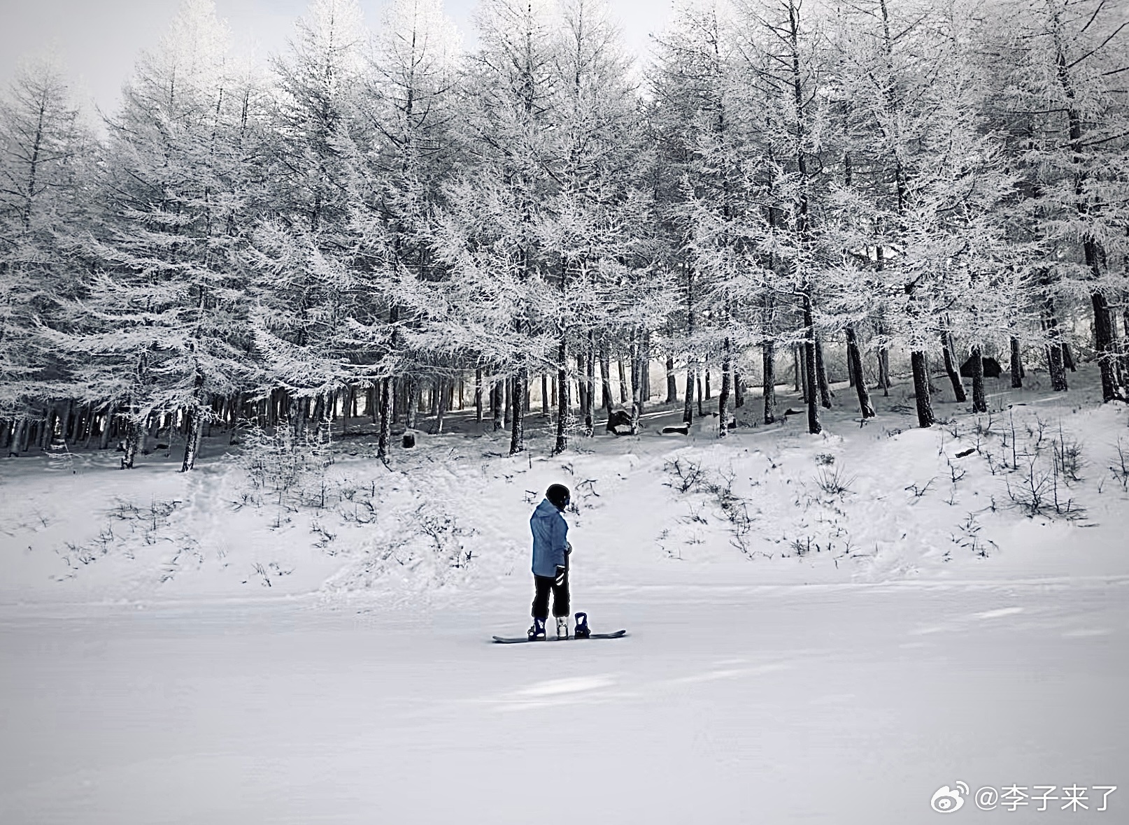 <失而复得的手机>今天带着女朋友去滑雪到雪场都快中午了我说我们赶紧上缆车能多滑几