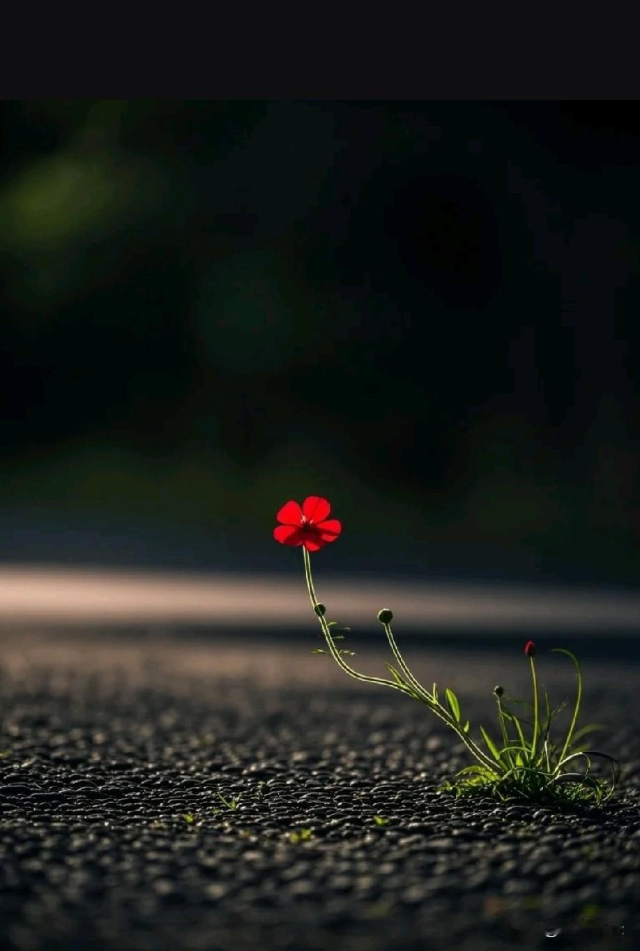 一高三家长说，他从来不看什么志愿填报视频，那只会让他越看越没底。一大堆规则，什么