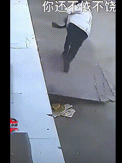 这回该长记性了！

都说狗狗有灵性，这种下意识的躲闪就能说明一切……
小狗是觉察