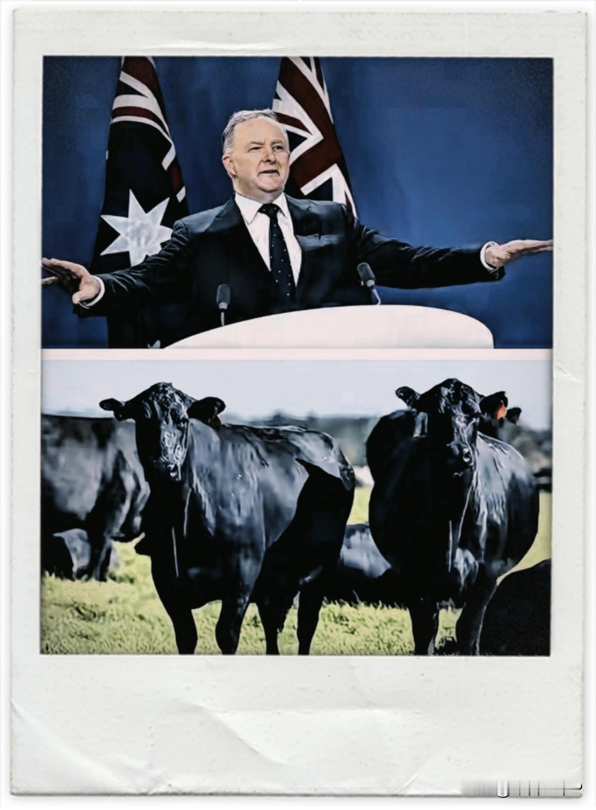 制裁不过夜！
就在中国解放军2025围台军演结束，澳大利亚脑瓜子嗡嗡的，31日，