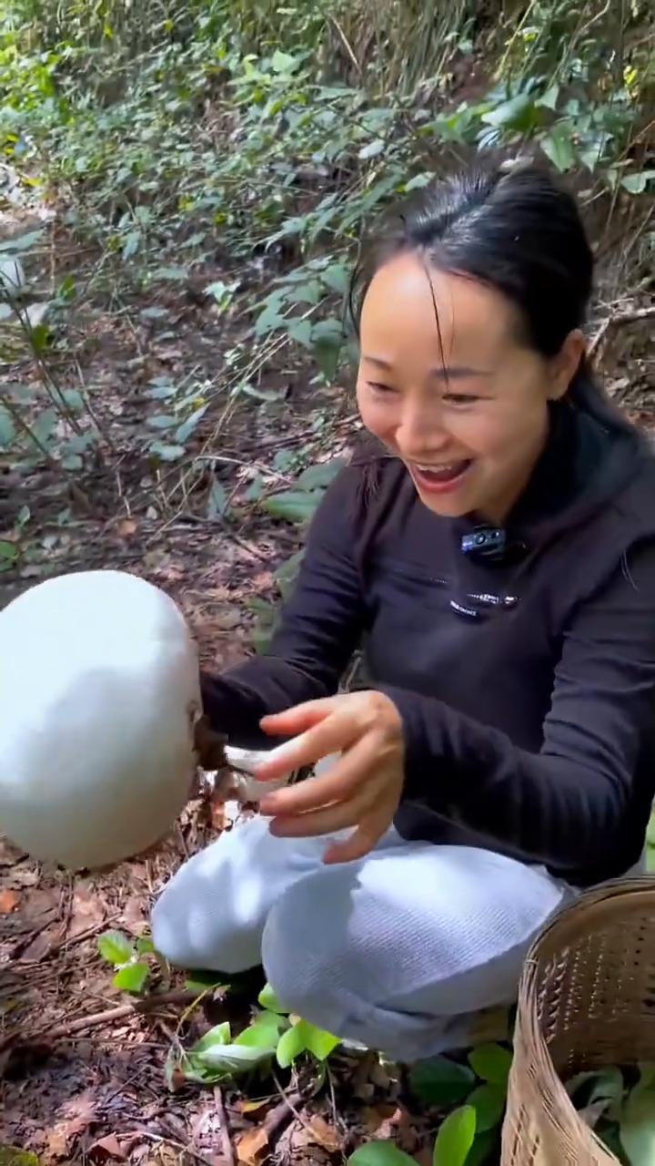 快来看，不得了老！前面是什么？好多个。发财了我，比我头都还大。哪一个最大？去捡那