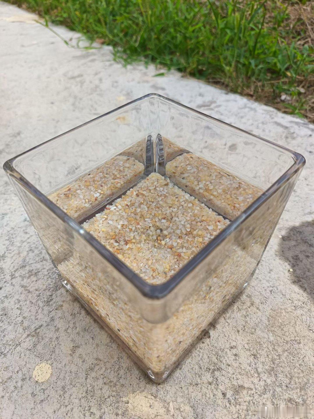万物皆有灵性，让它们存在于土壤之中或许会更加的枝繁叶茂吧，刚好腾出来的玻璃缸也可