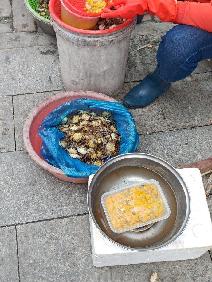 虾蝲膏上市，130/斤，广州番禺莲花山街市。字纹弓蟹，俗名虾辣/虾蝲，虾辣膏就是