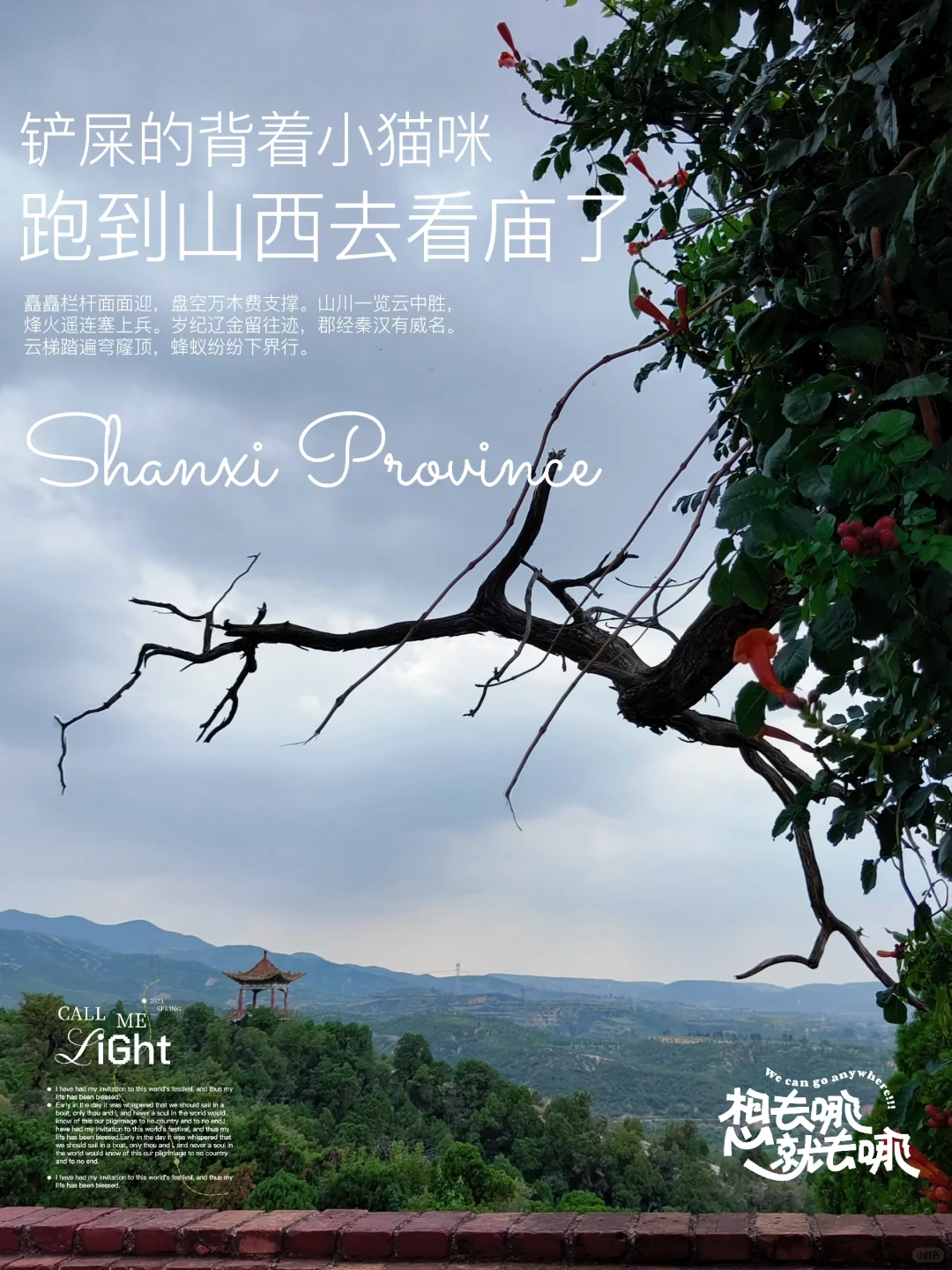 铲屎的背着小猫咪跑到山西看庙了